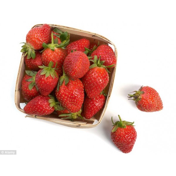 Φράουλες PRESTIGE Ολλανδίας (Κιλό)