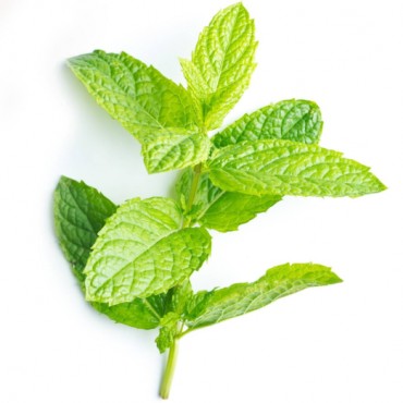ΜΕΝΤΑ ΕΛΛΑΣ ΣΕ ΚΟΥΠΑΚΙ 25g  (ΤΕΜΑΧΙΟ) ΜΕΝΤΑ ΕΛΛΑΣ ΣΕ ΚΟΥΠΑ...